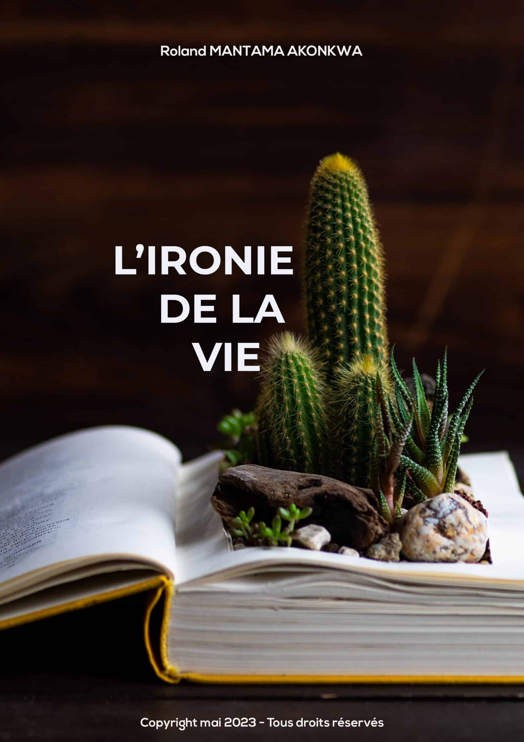 L'Ironie de la vie