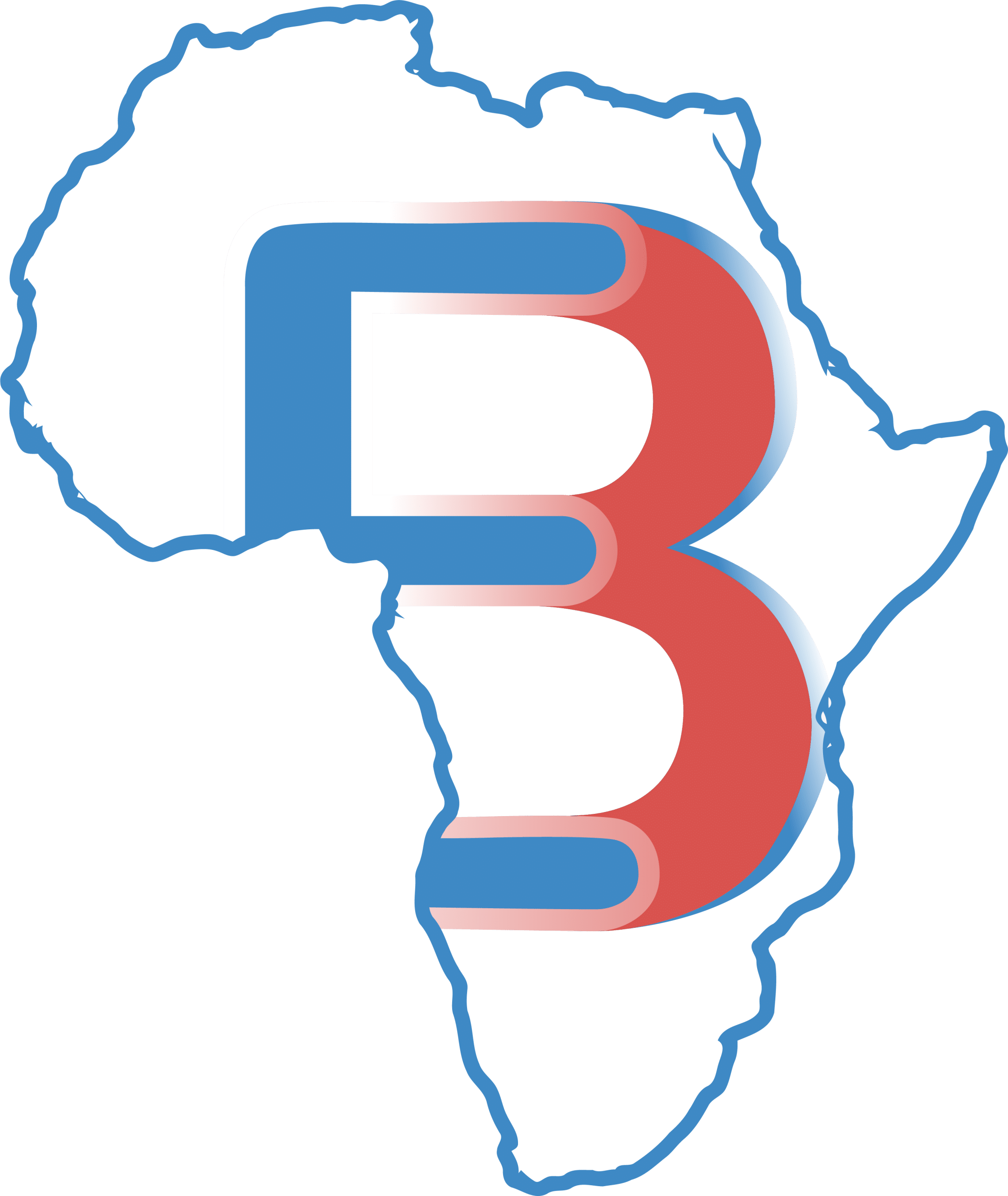 E BUSINESS AFRIKA LLC